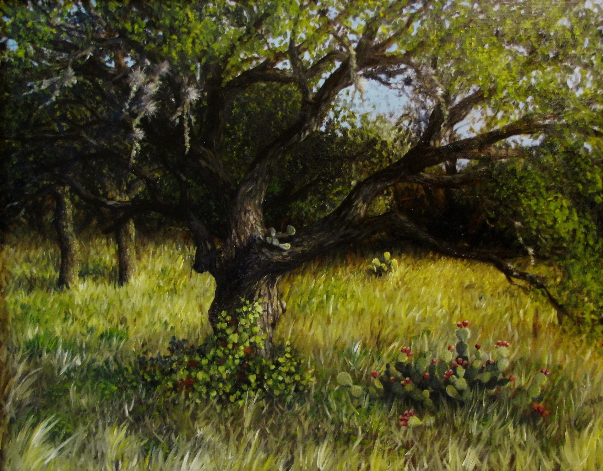 PleinAir Magazine's 12th Annual PleinAir Salon July 2022 Top 100 Victoria Ermler Live Oak with Cactus in the Late Afternoon Landscape