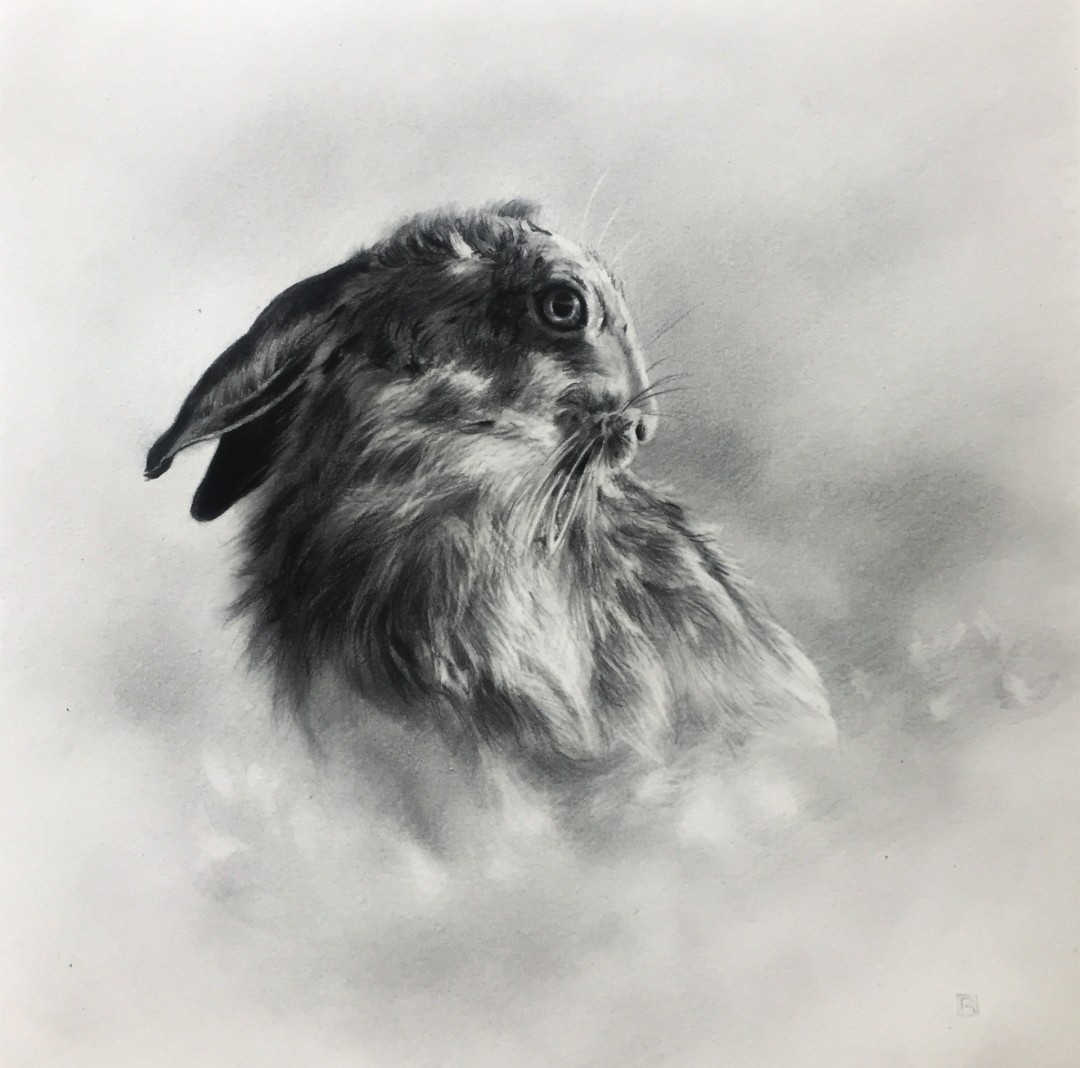 12th Annual PleinAir Salon Art Competition Annual Awards Semi-Finalist Rosanna Gaddoni The Infinite Moment Rabbit Drawing