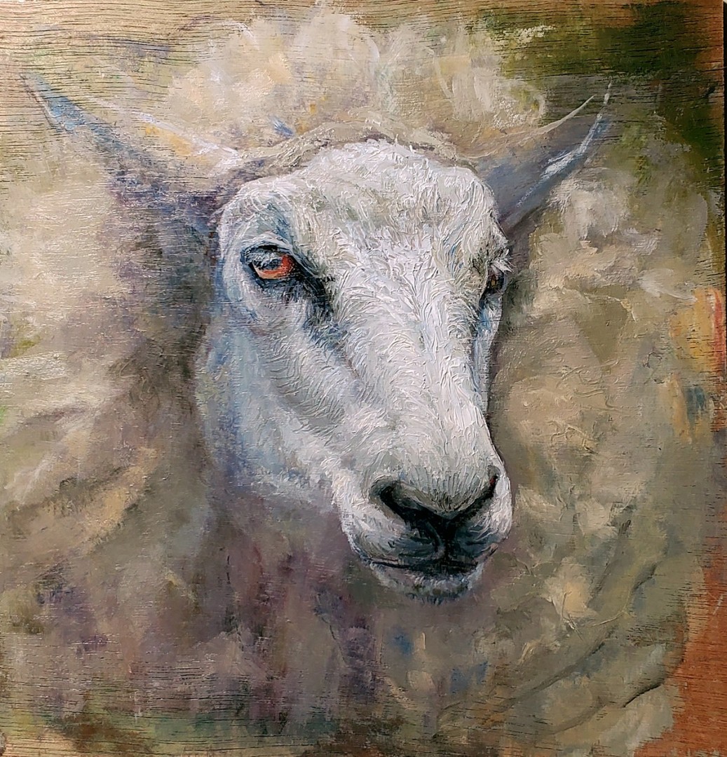 12th Annual PleinAir Salon Art Competition Annual Awards Semi-Finalist Bridget Grady Sheep Study Sheep Portrait