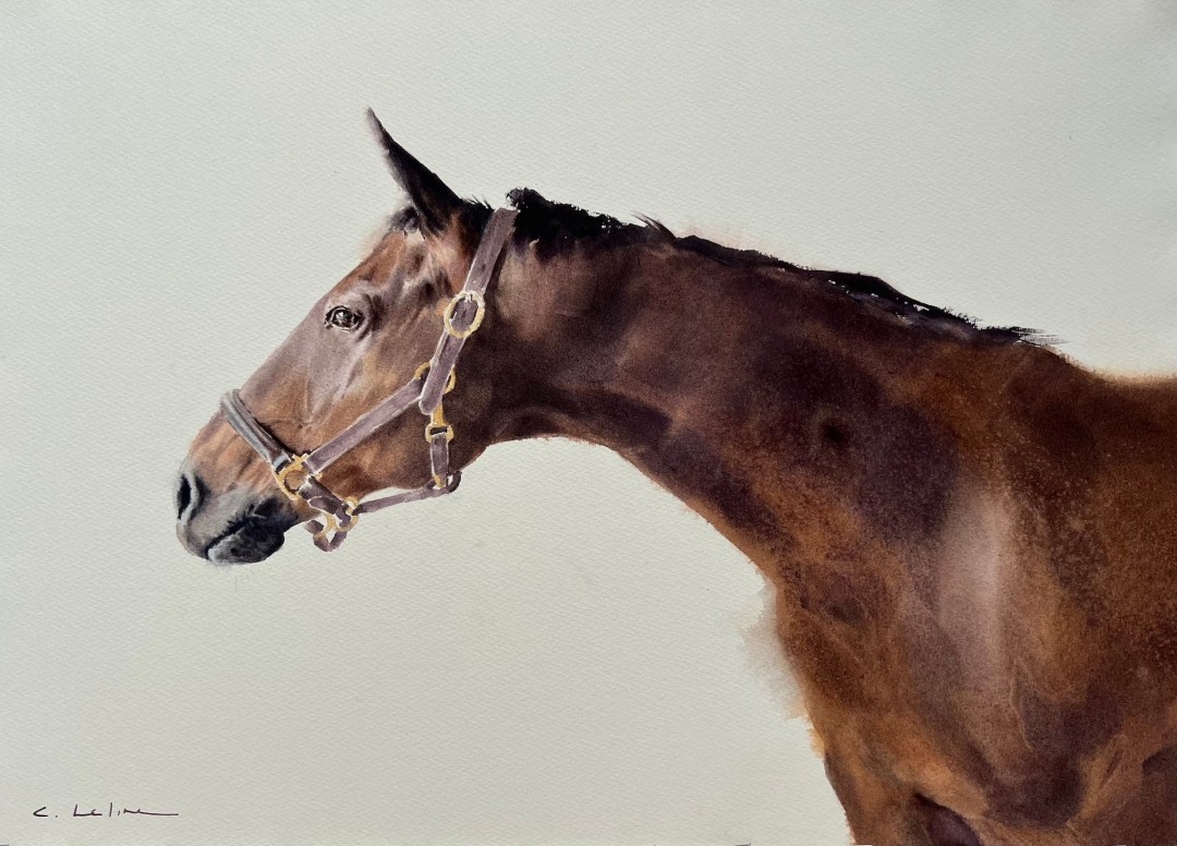 12th Annual PleinAir Salon Art Competition Annual Awards Semi-Finalist Caitlin Leline Hatch Waiting Patiently Horse Figure Watercolor Painting
