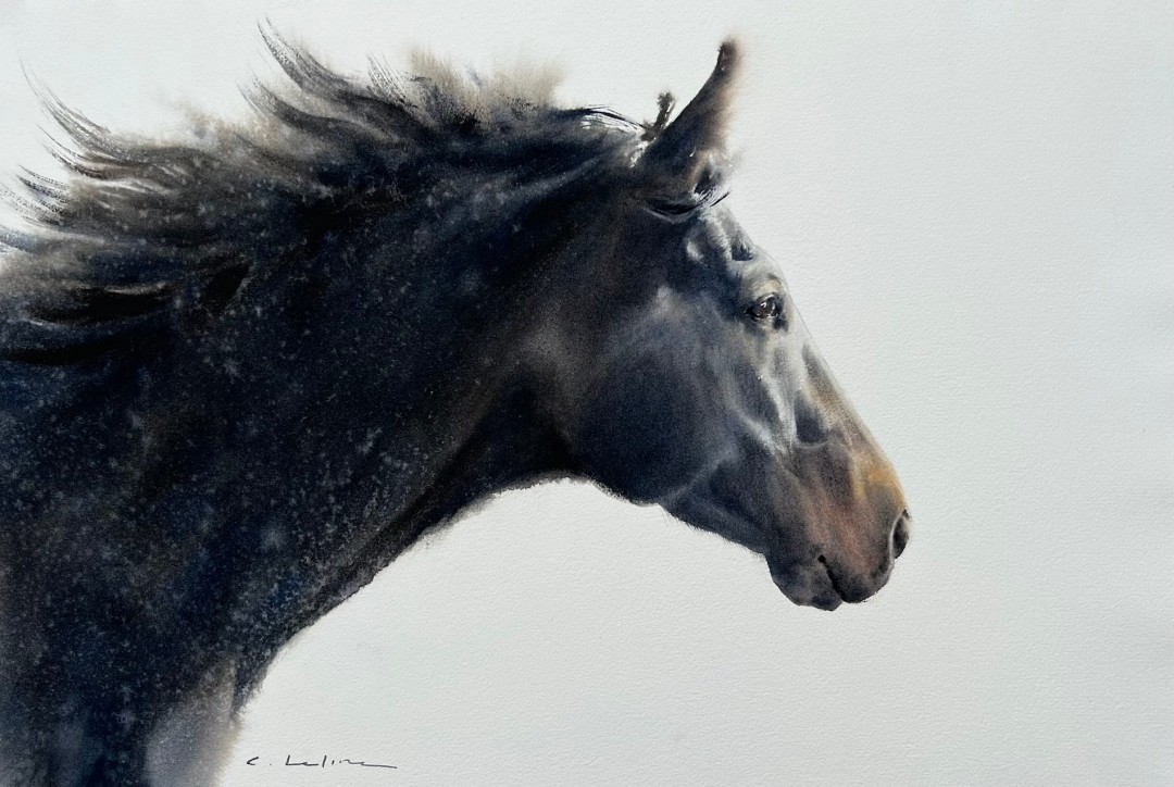 12th Annual PleinAir Salon Art Competition Annual Awards Semi-Finalist Caitlin Leline Hatch Phoenix Rising Horse Portrait Watercolor Painting