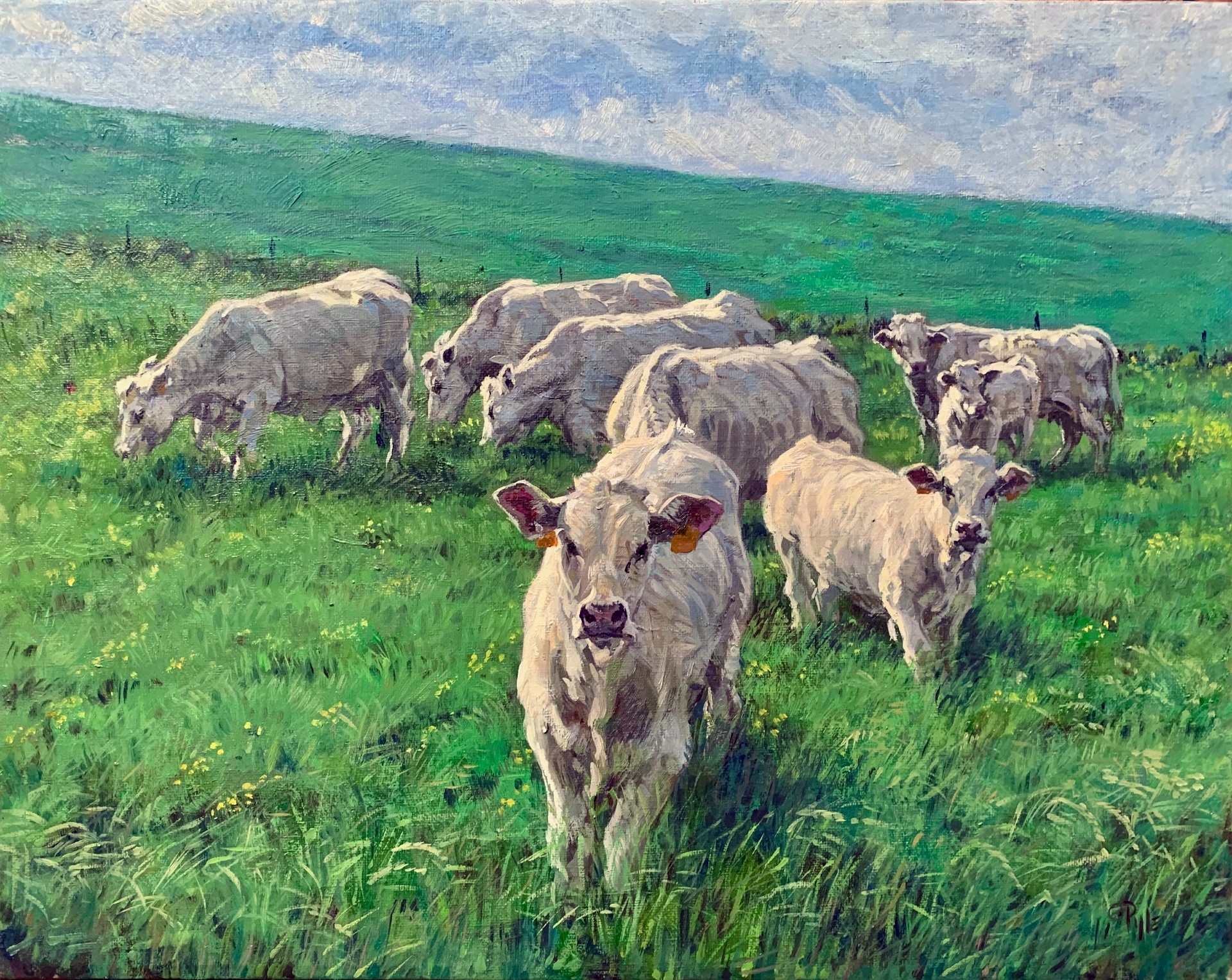 12th Annual PleinAir Salon Art Competition Annual Awards Semi-Finalist Charles Pyle Cows by the Road Animal Landscape Oil Painting