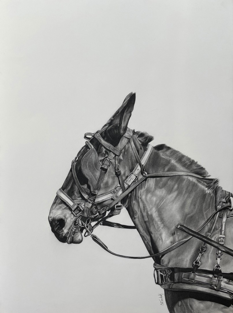 12th Annual PleinAir Salon Art Competition Annual Awards Semi-Finalist Cathryne Trachok I Can Hear You Horse Drawing