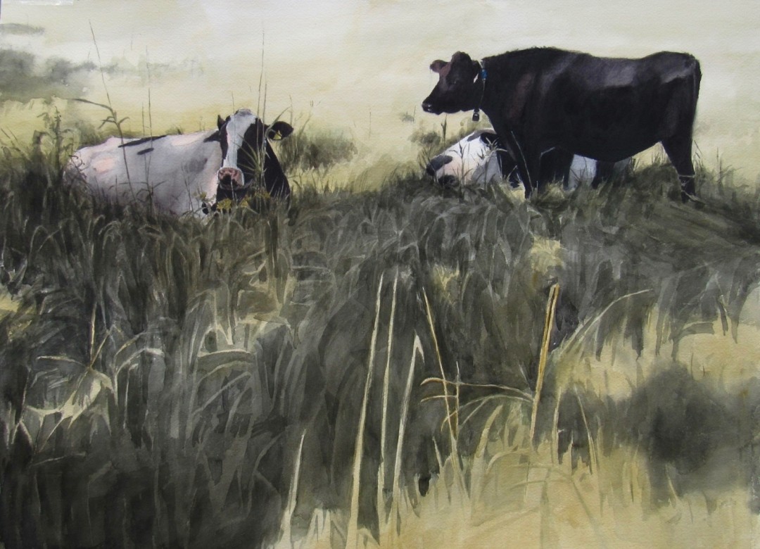 PleinAir Magazine's 13th Annual PleinAir Salon Art Competition February 2024 Winner Mo Myra oil painting of cows in shade