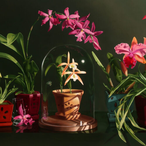 Four vibrant orchid plants in decorative pots sit on a table, with a smaller orchid in a terracotta pot protected by a glass dome in the center. The background is dark, highlighting the colorful flowers and lush green leaves. 15th Annual PleinAir Salon Art Competition