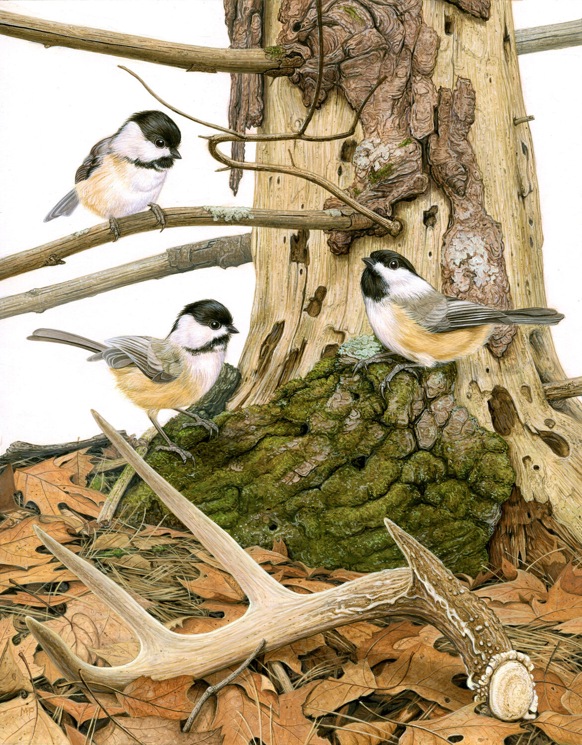 Three chickadees perch on branches above fallen leaves, a mossy log, and a shed deer antler on a forest floor. The scene is detailed and naturalistic, showing the birds and woodland elements closely. 15th Annual PleinAir Salon Art Competition