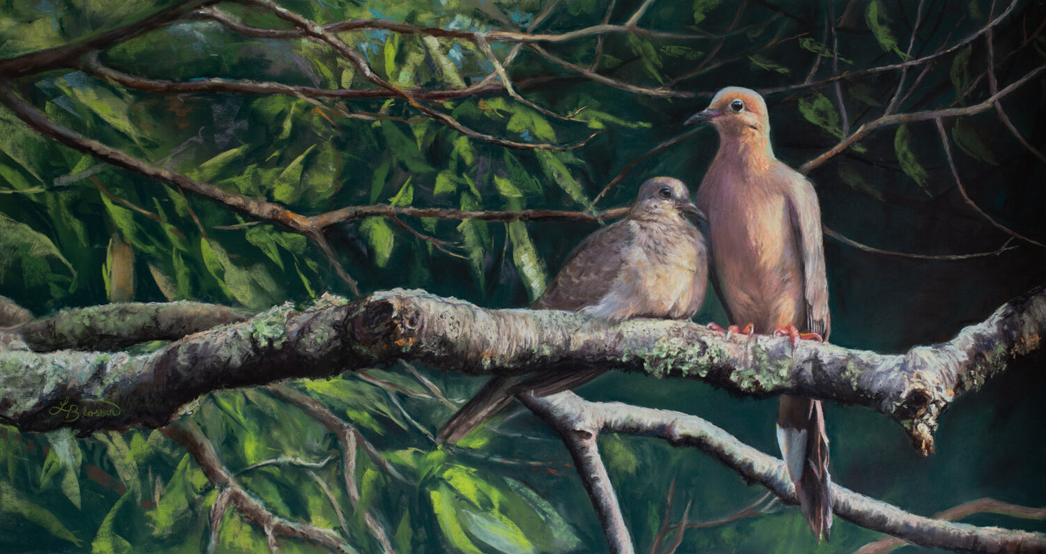 Two mourning doves perched on a lichen-covered tree branch, surrounded by green leaves and branches. One bird is sitting while the other stands watchfully nearby. 15th Annual PleinAir Salon Art Competition