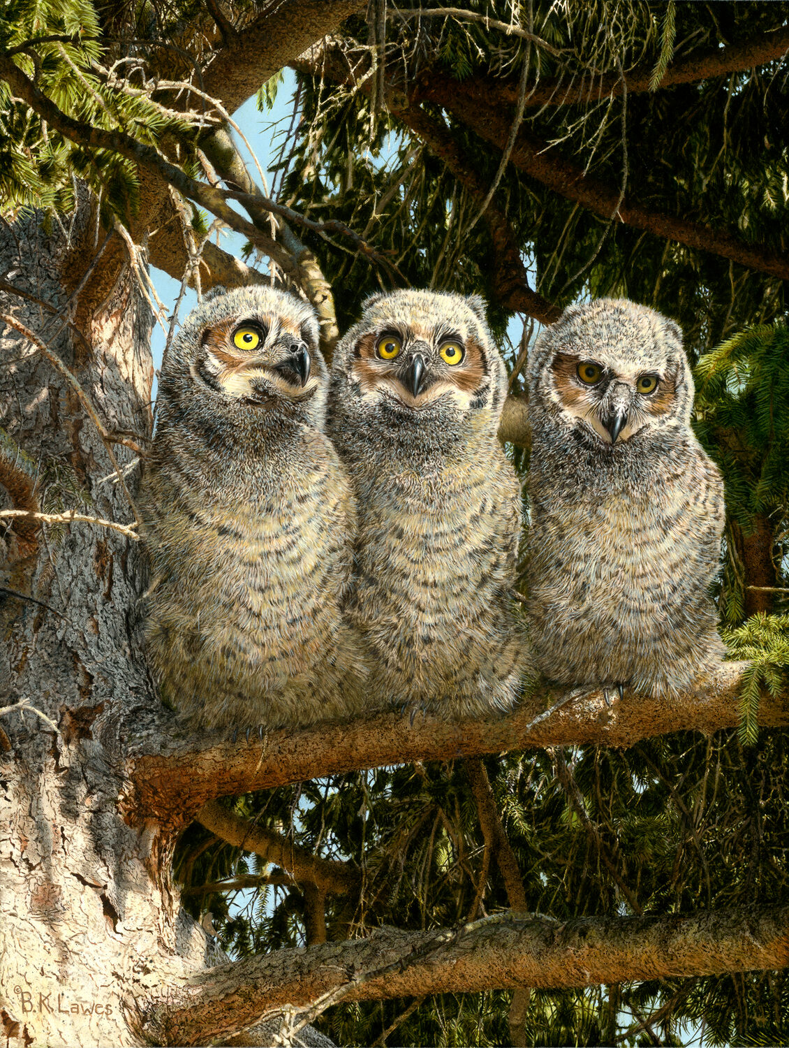 Three young, fluffy owls with yellow eyes sit closely together on a tree branch, surrounded by green needles and tree branches in a sunlit forest setting. 15th Annual PleinAir Salon Art Competition