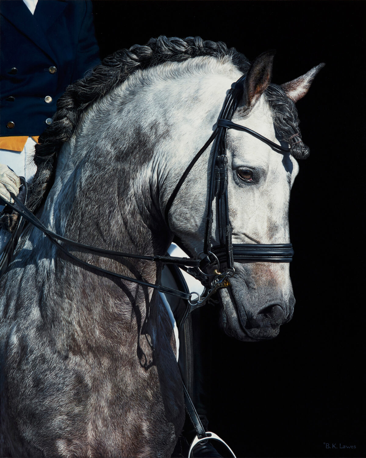 A close-up of a gray horse with braided mane, wearing a bridle, being ridden by a person in formal equestrian attire against a black background. 15th Annual PleinAir Salon Art Competition