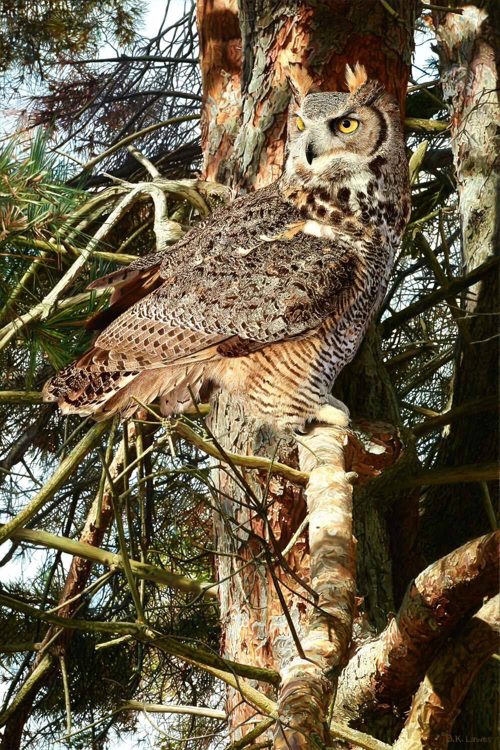 A great horned owl with yellow eyes sits perched on a branch, blending into the brown and gray bark of a pine tree, surrounded by needles and branches. 15th Annual PleinAir Salon Art Competition