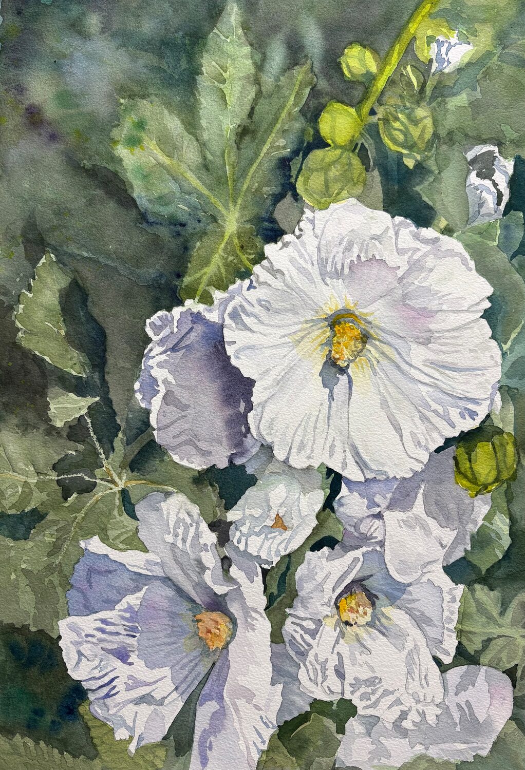 Watercolor painting of white hollyhock flowers with yellow centers and green leaves, set against a dark, leafy background. The petals are delicate and softly shaded with hints of purple and blue. 15th Annual PleinAir Salon Art Competition