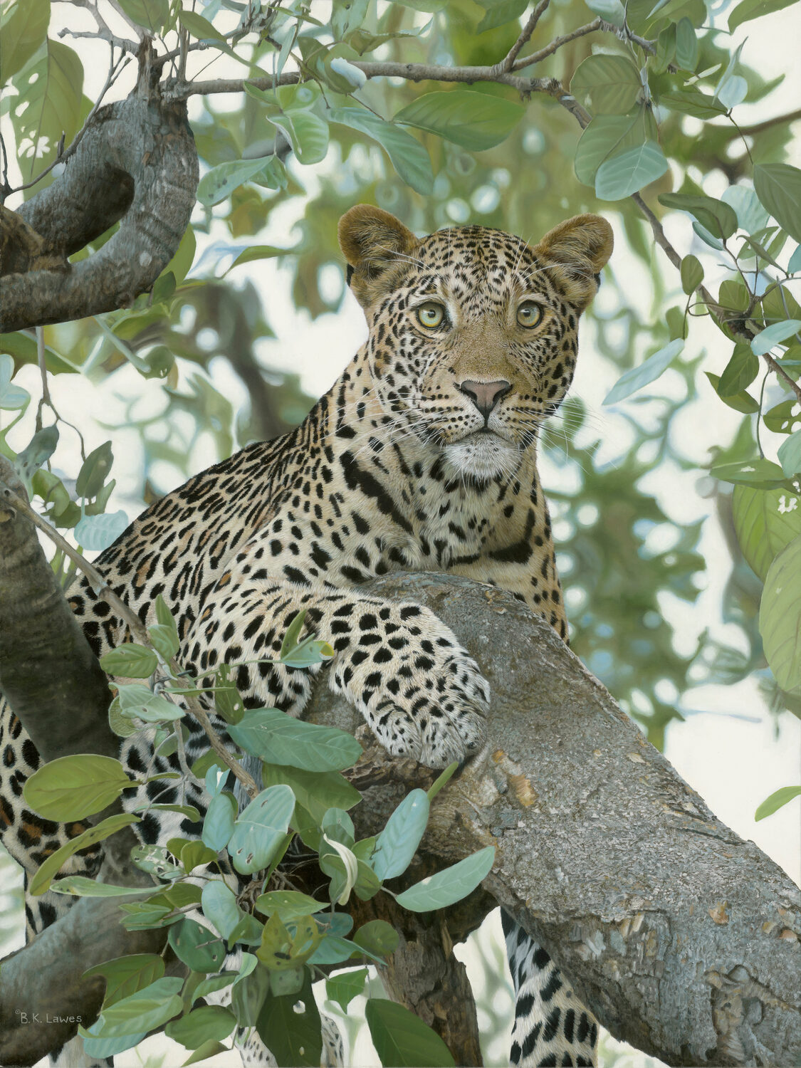 A leopard with golden fur and black spots lounges on a tree branch, surrounded by green leaves, gazing alertly forward. 15th Annual PleinAir Salon Art Competition